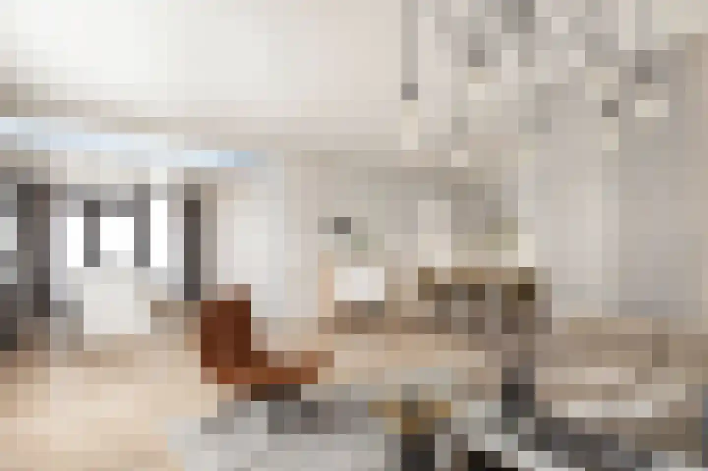 Laan ten Habraken 2 Gemonde thumbnail 16