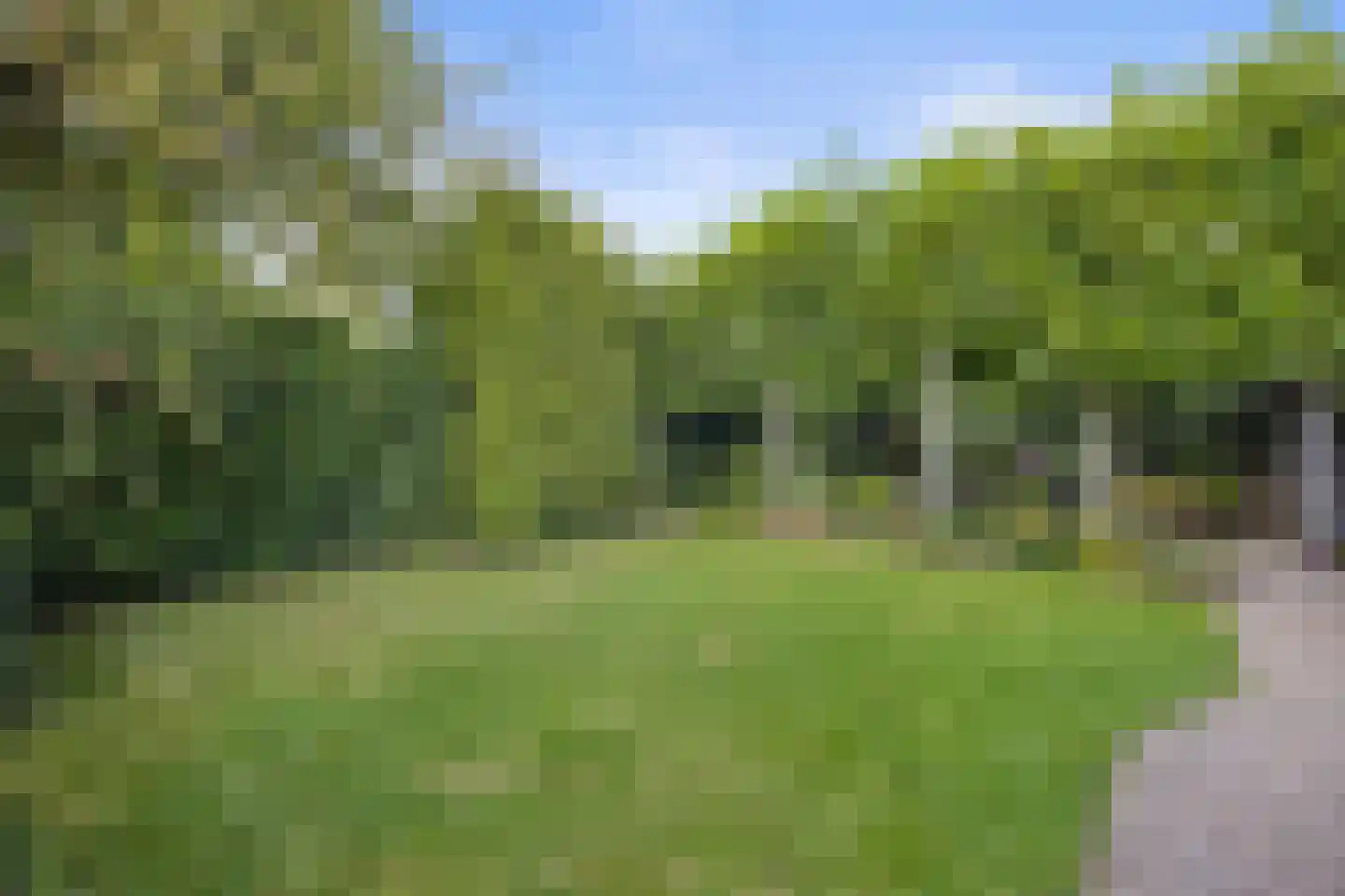 Laan ten Habraken 2 Gemonde thumbnail 28