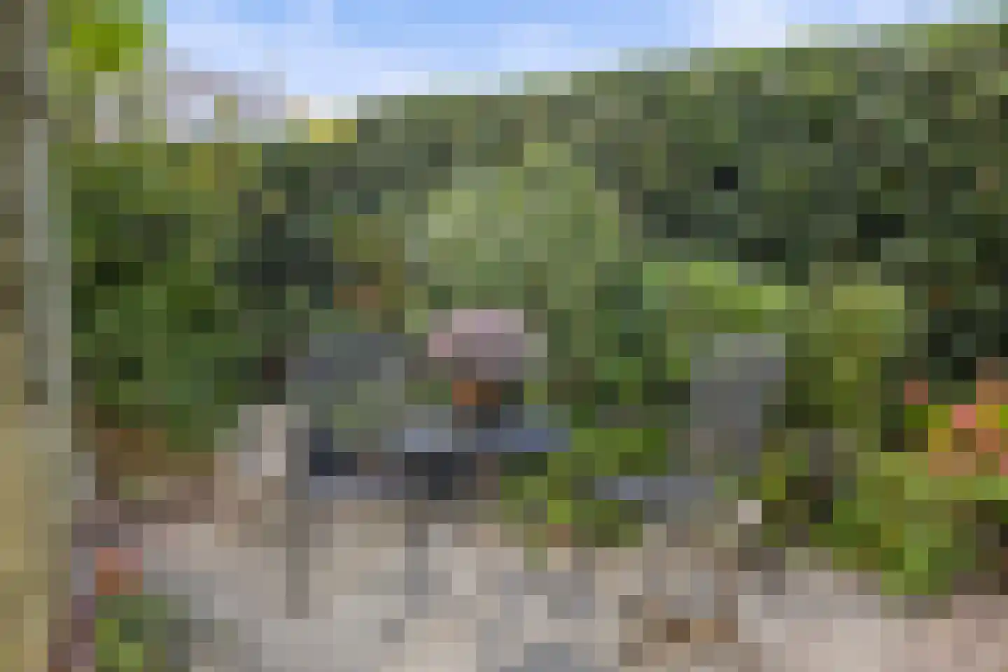 Laan ten Habraken 2 Gemonde thumbnail 30