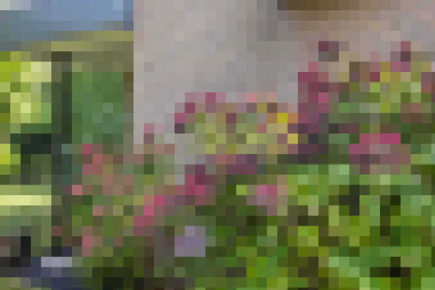 Laan ten Habraken 2 Gemonde thumbnail 35