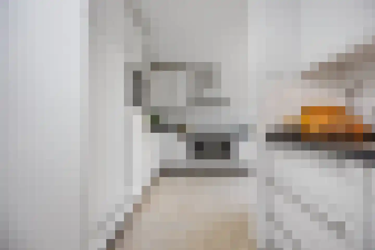 Laan ten Habraken 2 Gemonde thumbnail 37