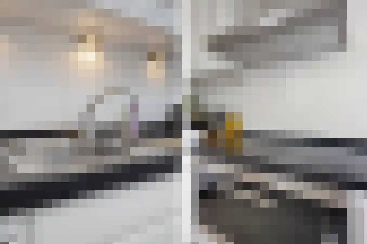 Laan ten Habraken 2 Gemonde thumbnail 39