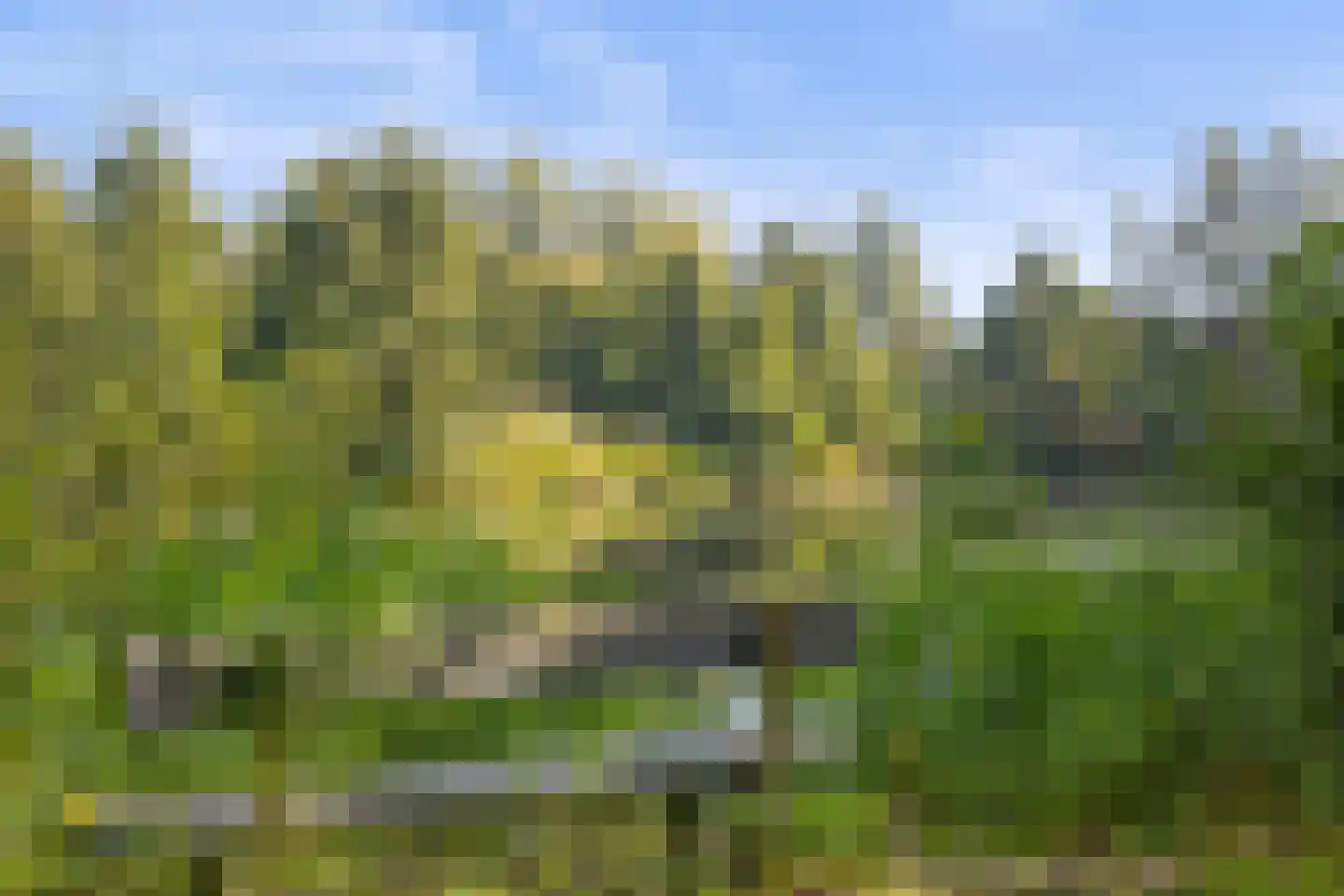 Laan ten Habraken 2 Gemonde thumbnail 4
