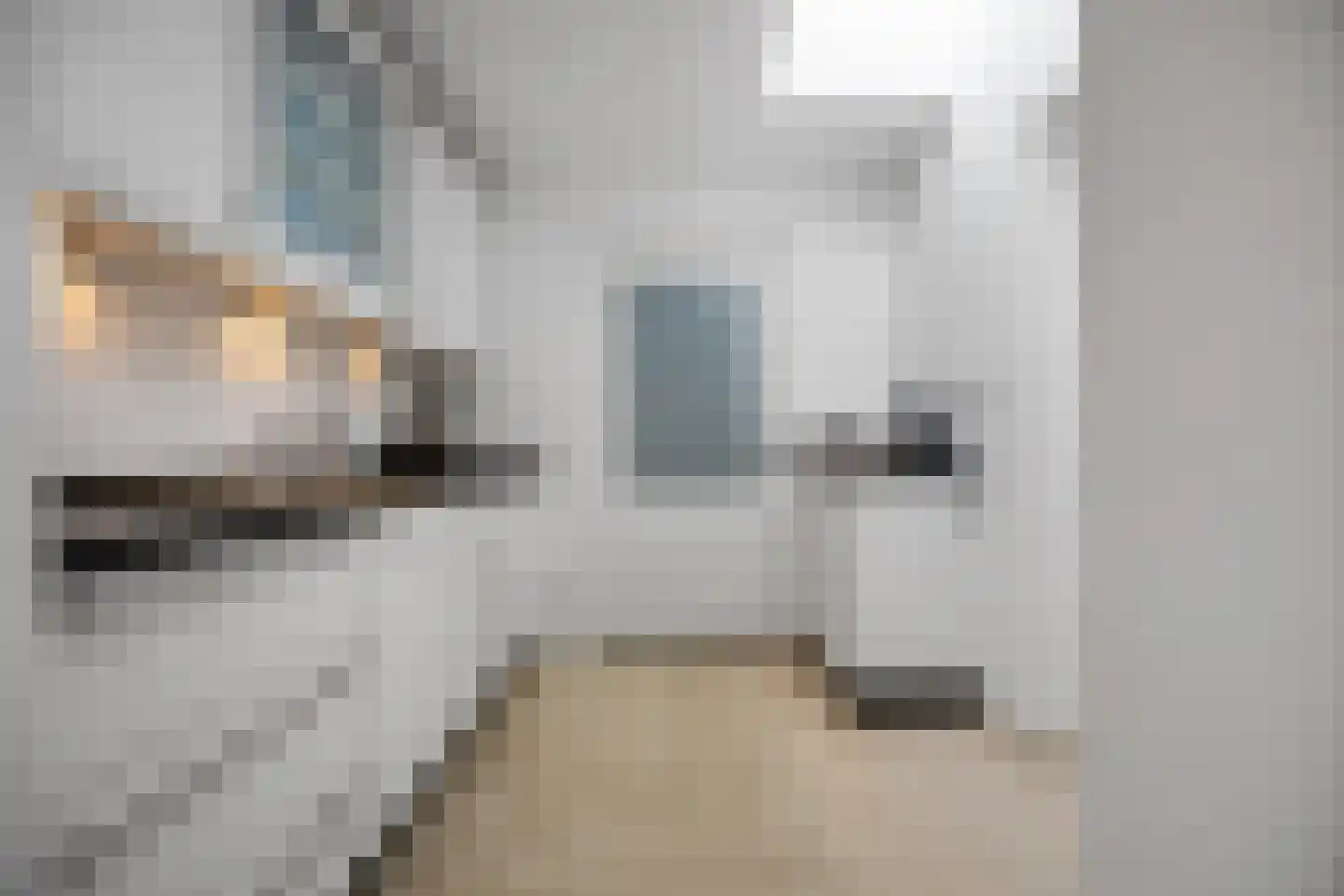 Laan ten Habraken 2 Gemonde thumbnail 40