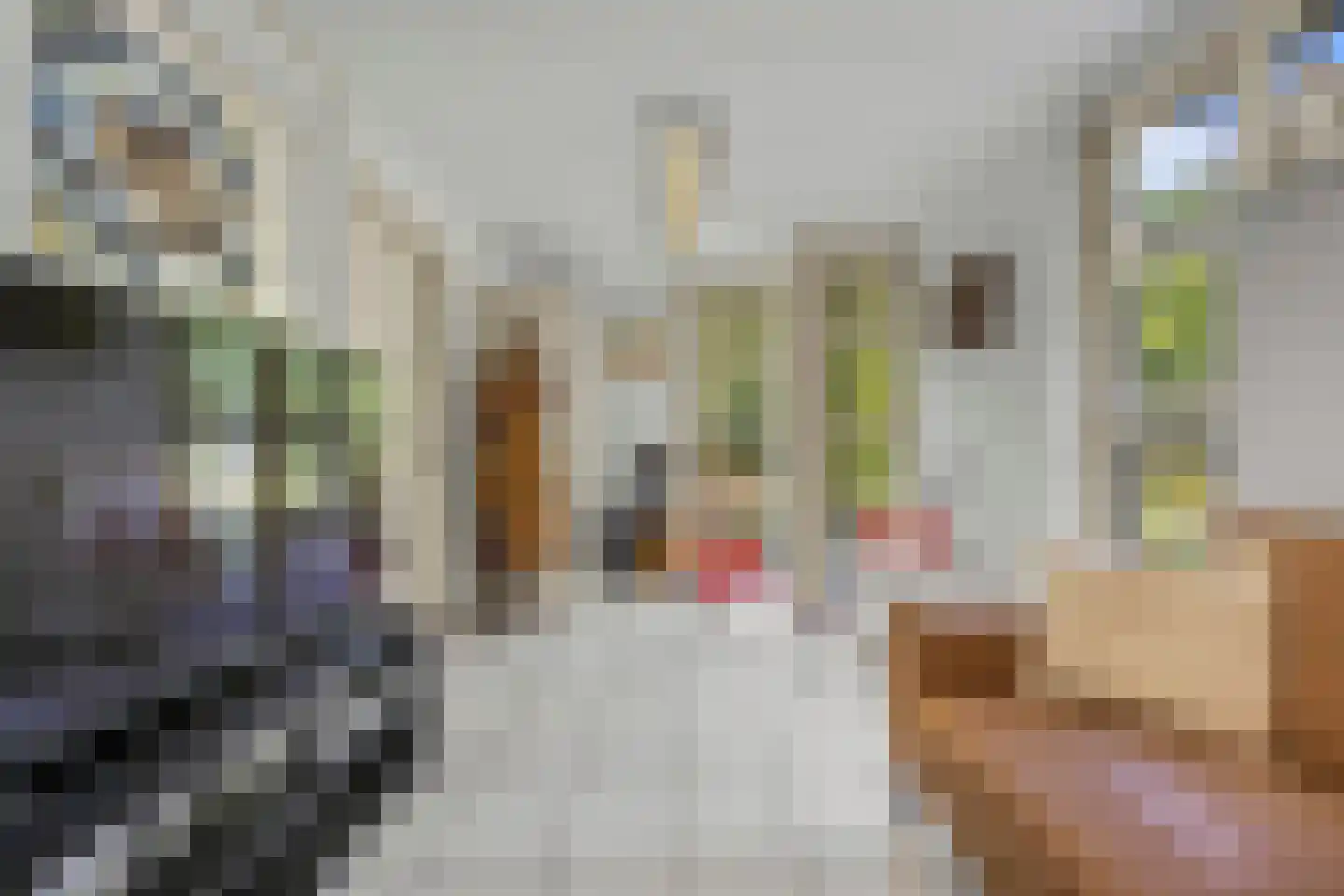 Laan ten Habraken 2 Gemonde thumbnail 45