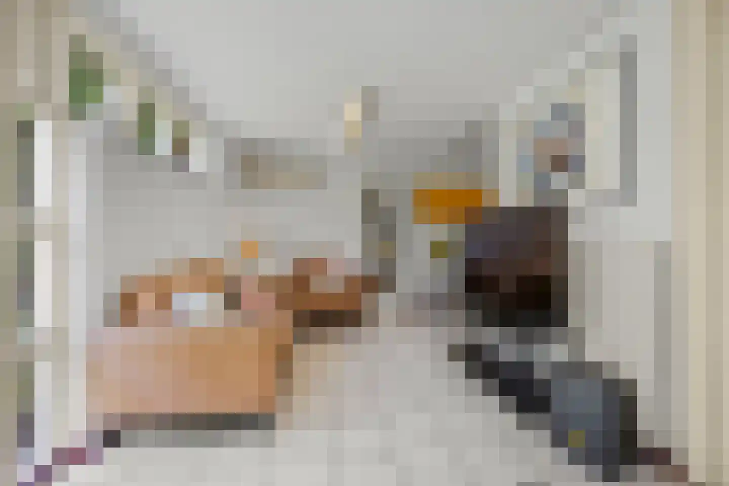 Laan ten Habraken 2 Gemonde thumbnail 46