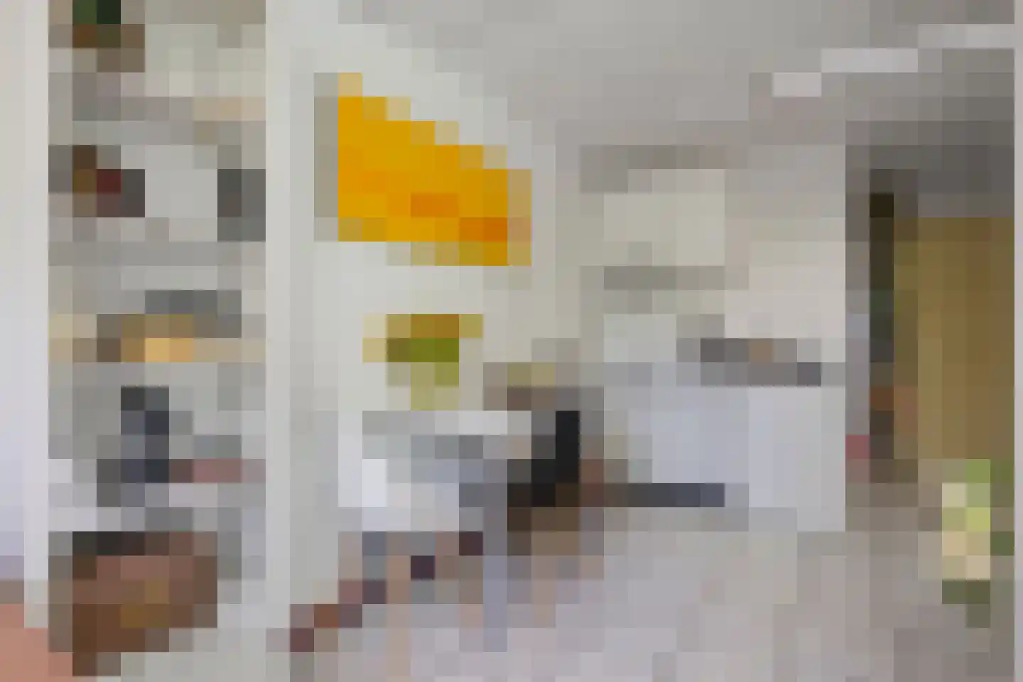 Laan ten Habraken 2 Gemonde thumbnail 48