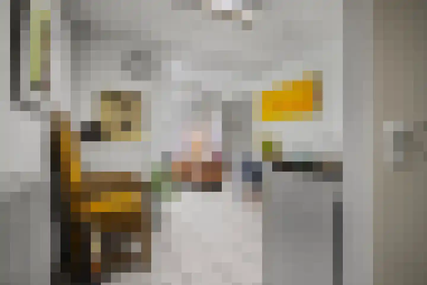 Laan ten Habraken 2 Gemonde thumbnail 49