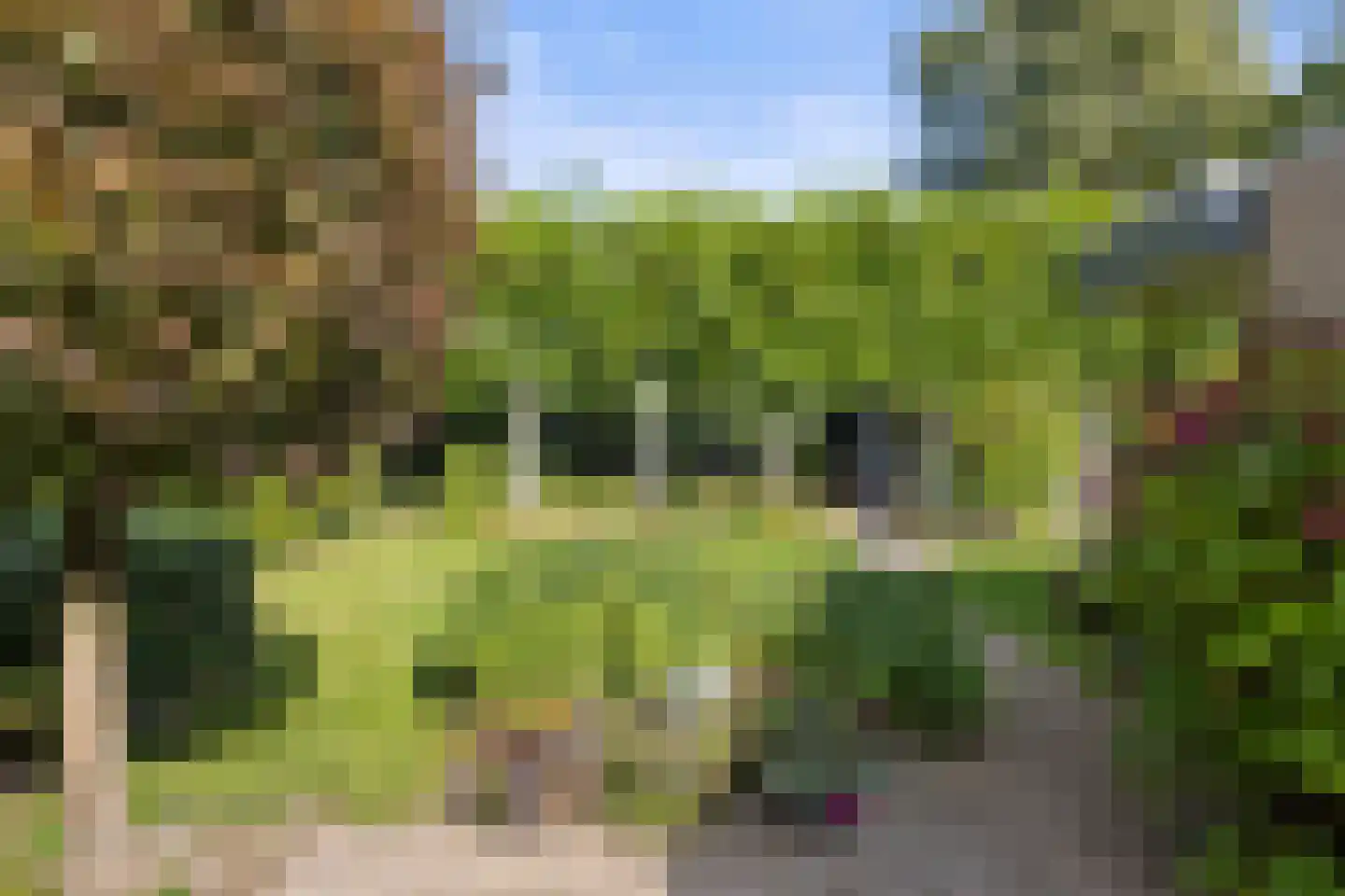 Laan ten Habraken 2 Gemonde thumbnail 5
