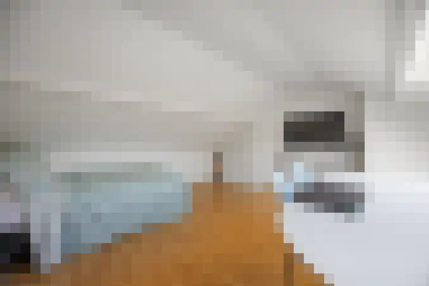 Laan ten Habraken 2 Gemonde thumbnail 64