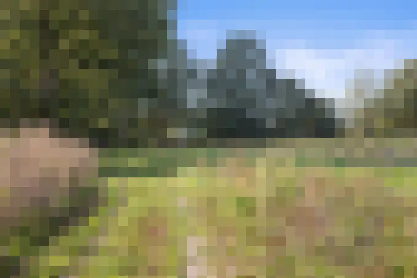 Laan ten Habraken 2 Gemonde thumbnail 69