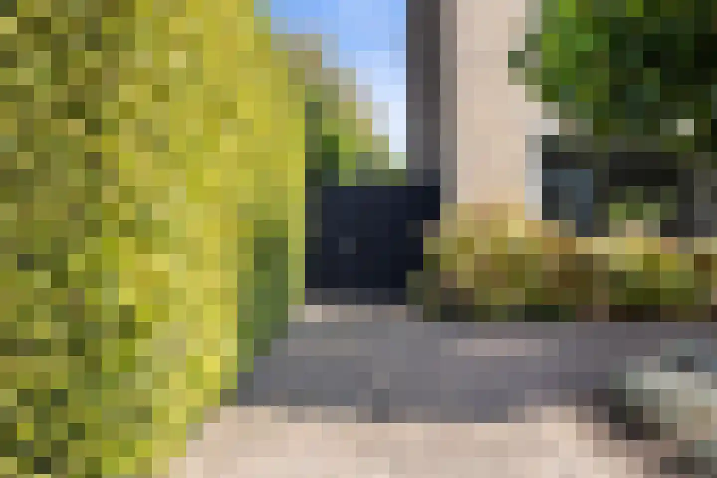 Laan ten Habraken 2 Gemonde thumbnail 7