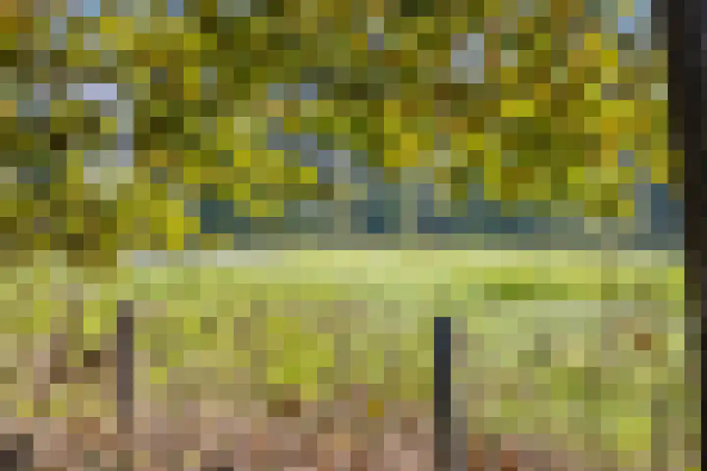 Laan ten Habraken 2 Gemonde thumbnail 72