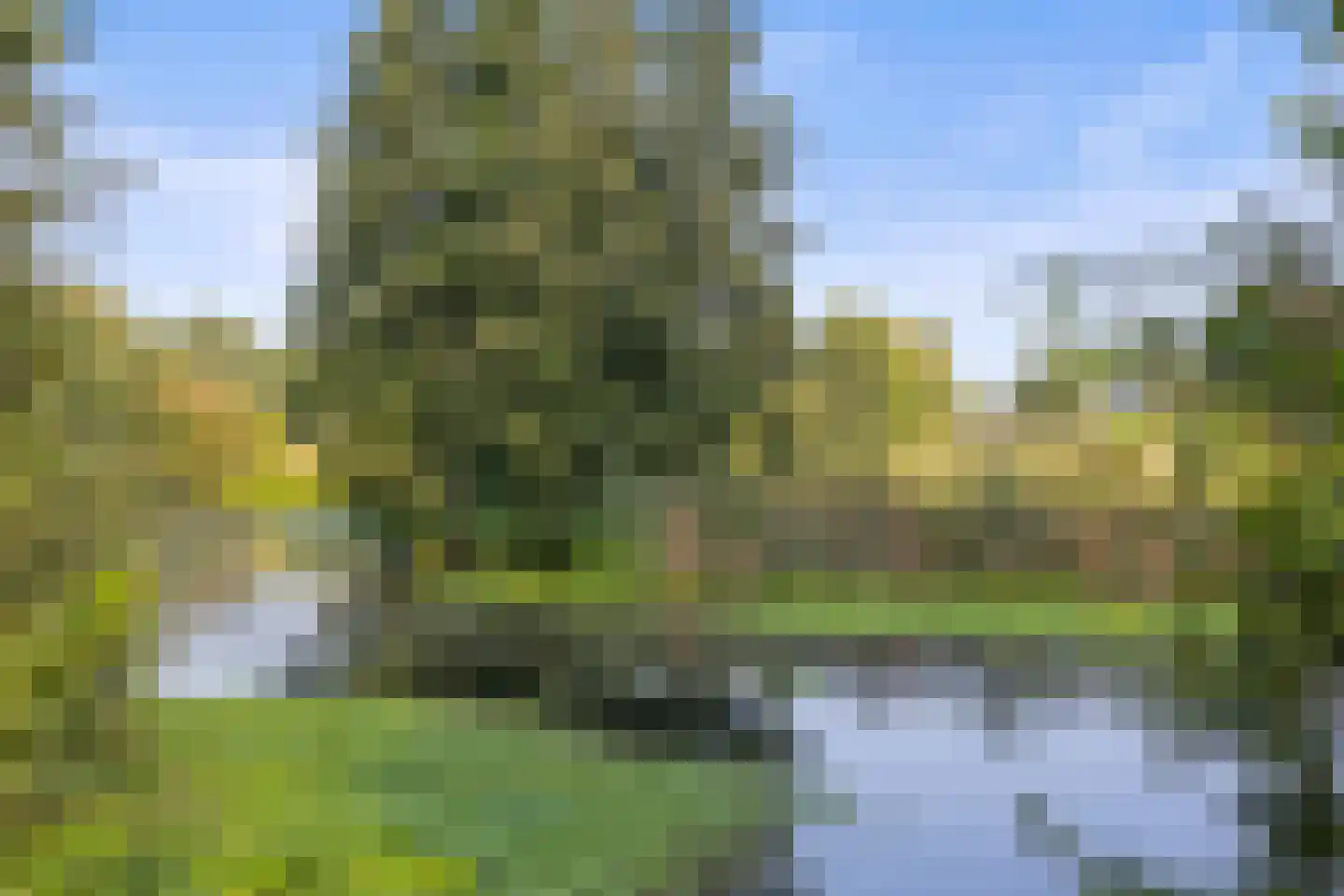 Laan ten Habraken 2 Gemonde thumbnail 74