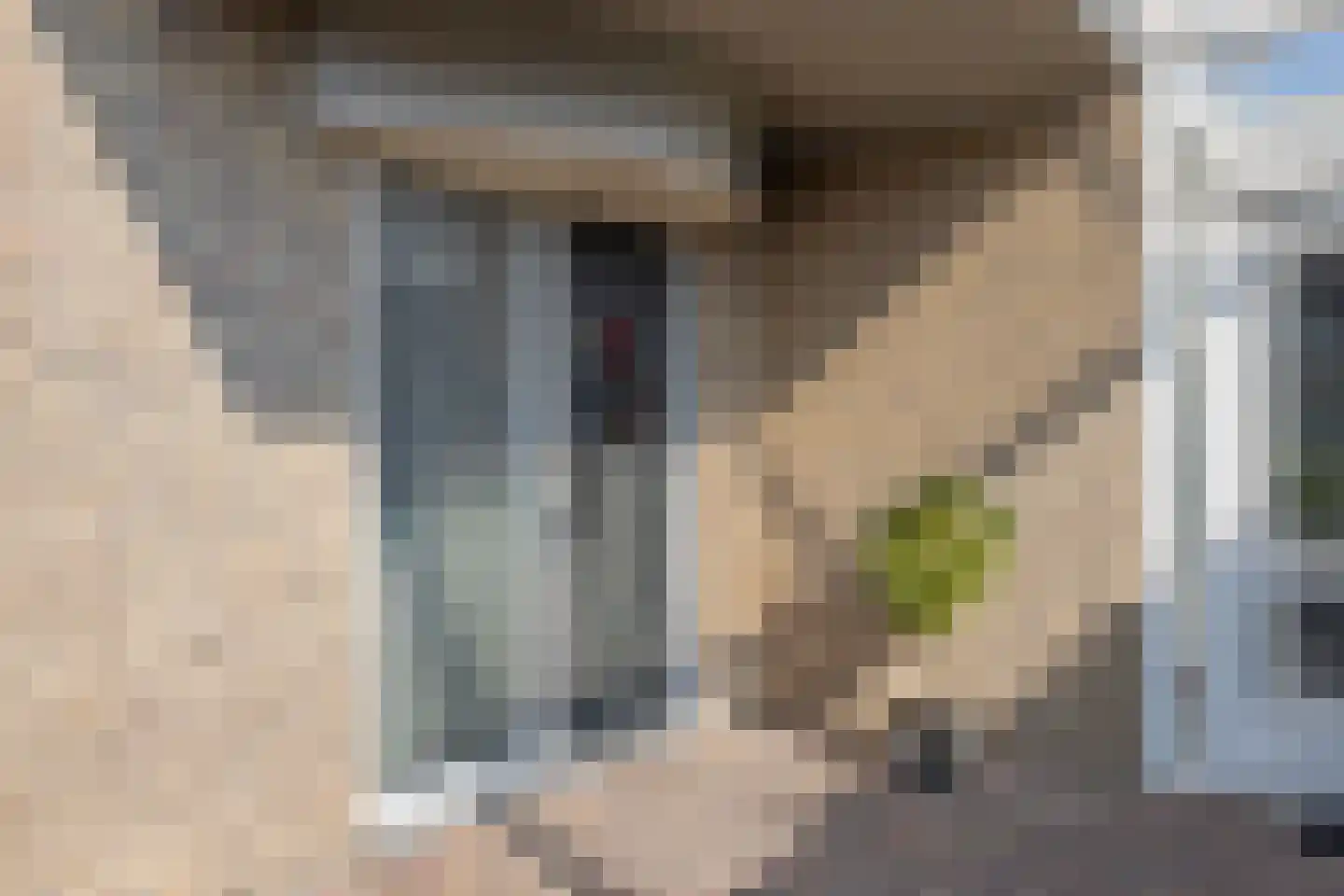 Laan ten Habraken 2 Gemonde thumbnail 9