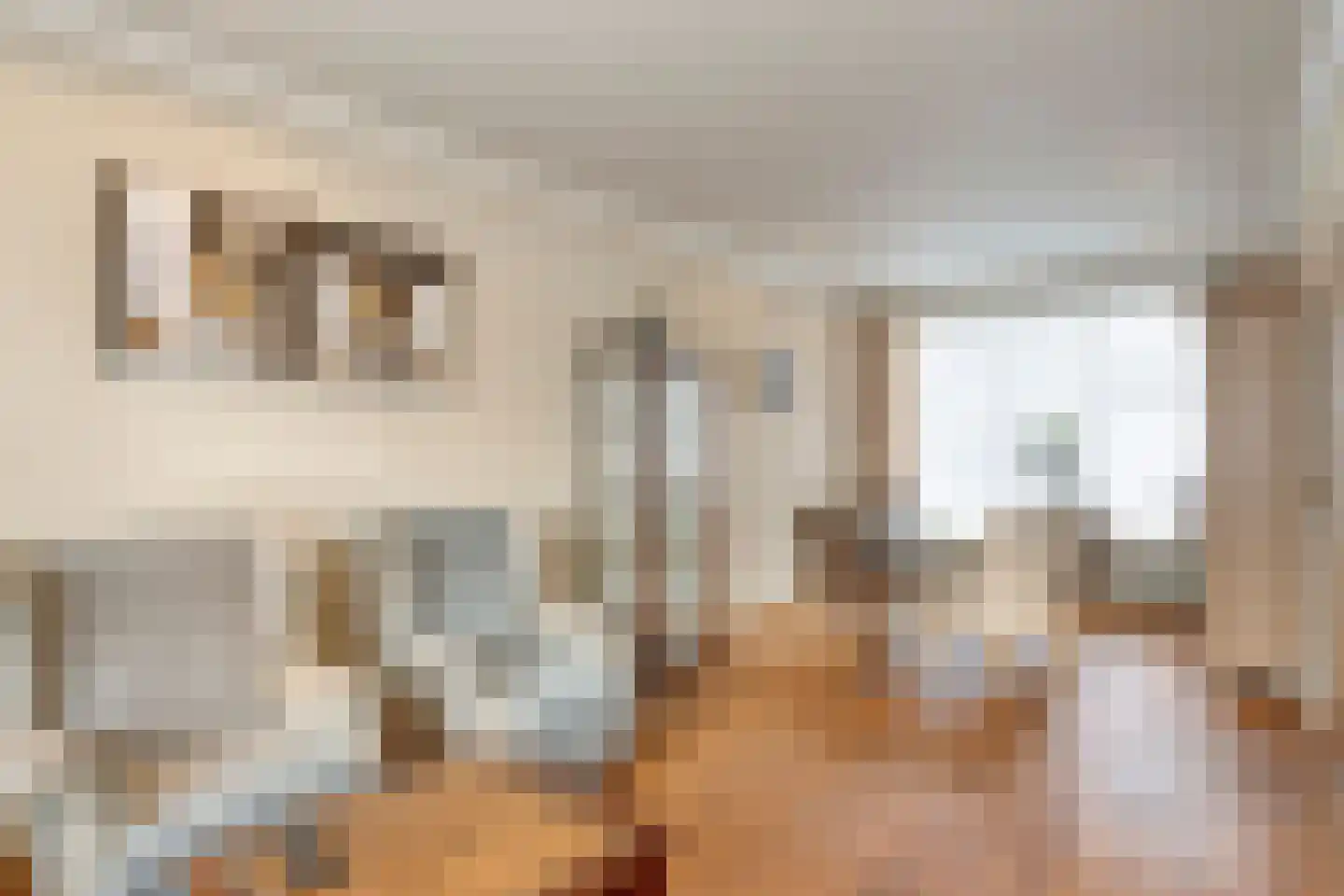 Laan ten Roode 17 Someren thumbnail 10