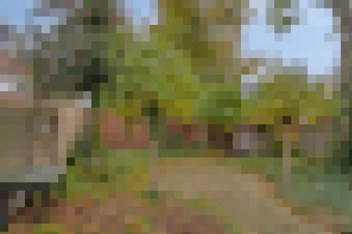 Laan ten Roode 17 Someren thumbnail 22