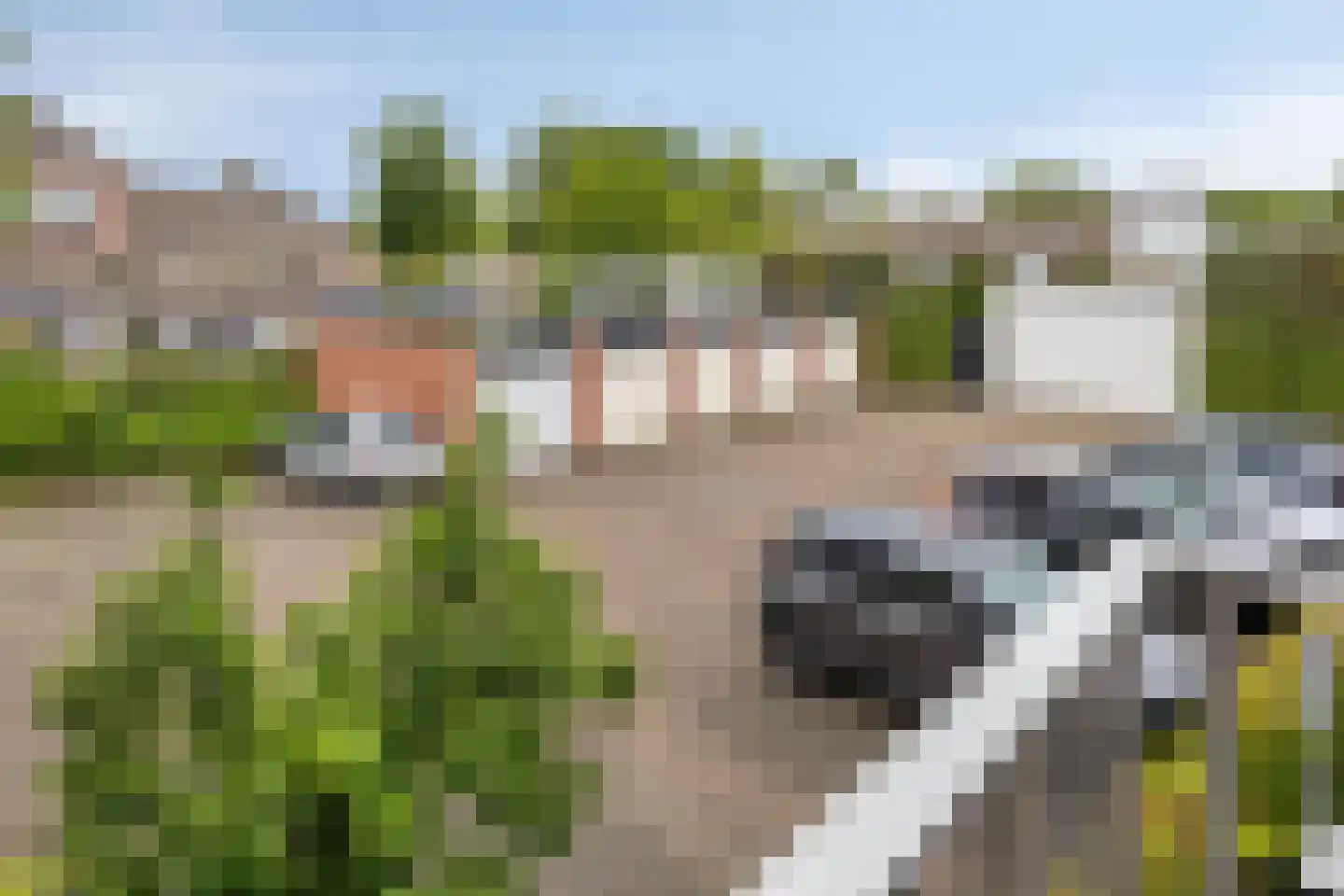 Laan ten Roode 20 a Someren thumbnail 27