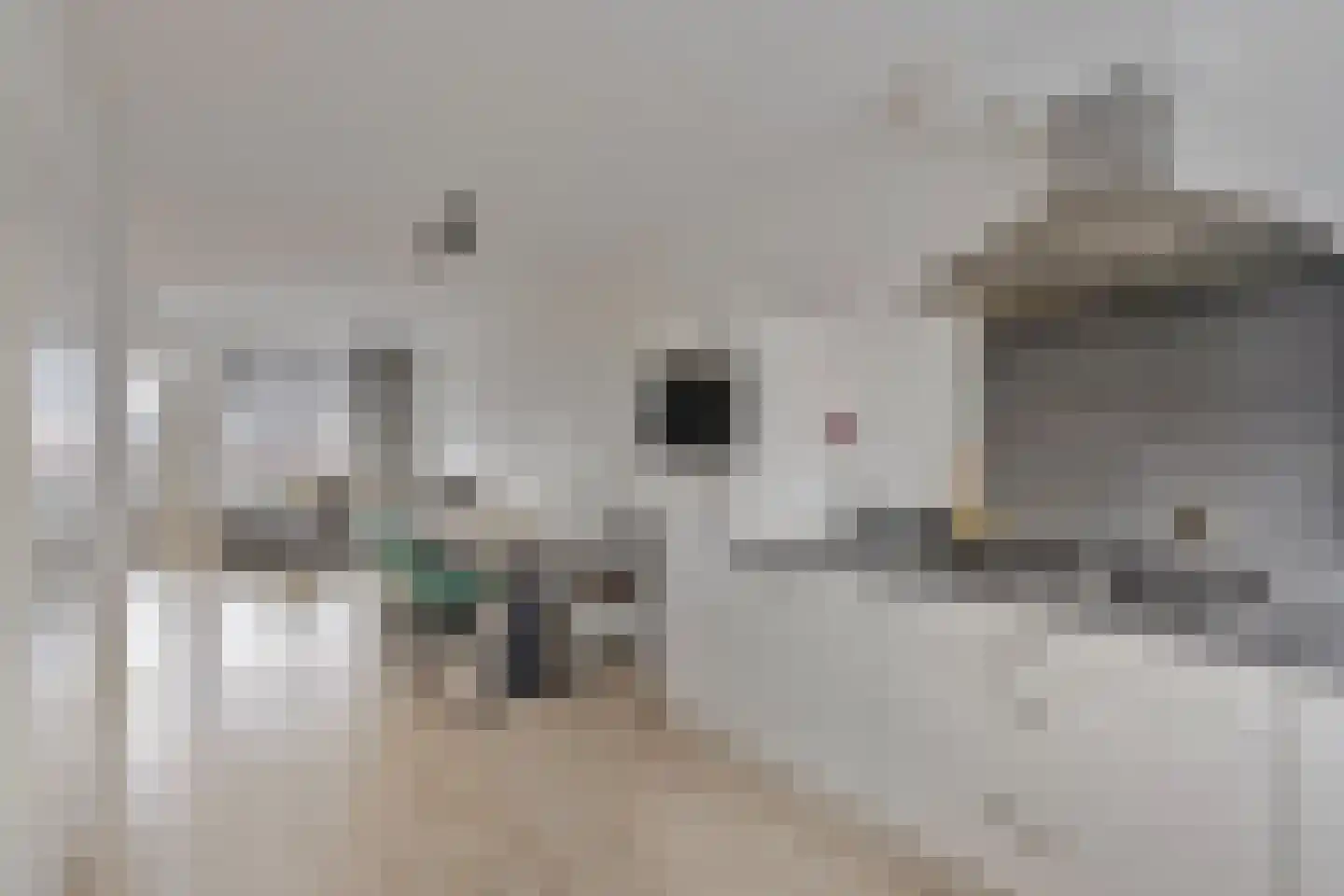 Laan ten Roode 4 Someren foto 2