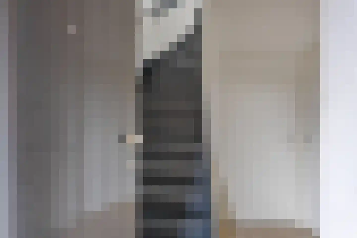 Laan ten Roode 4 Someren thumbnail 31