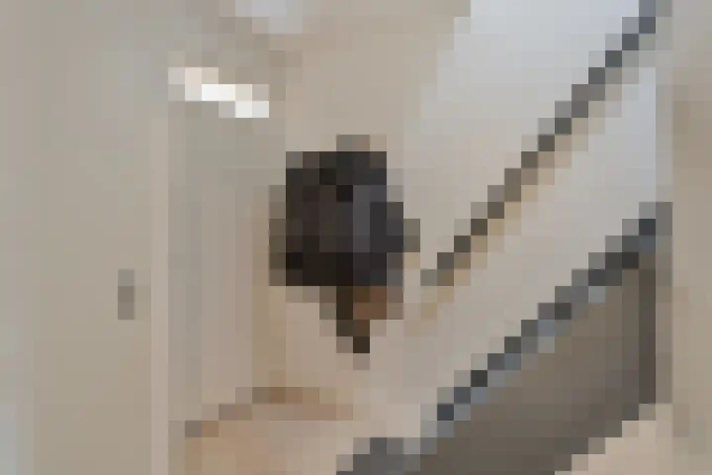 Laan ten Roode 4 Someren thumbnail 32