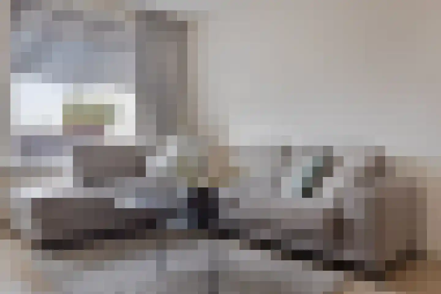 Laan ten Roode 4 Someren thumbnail 8