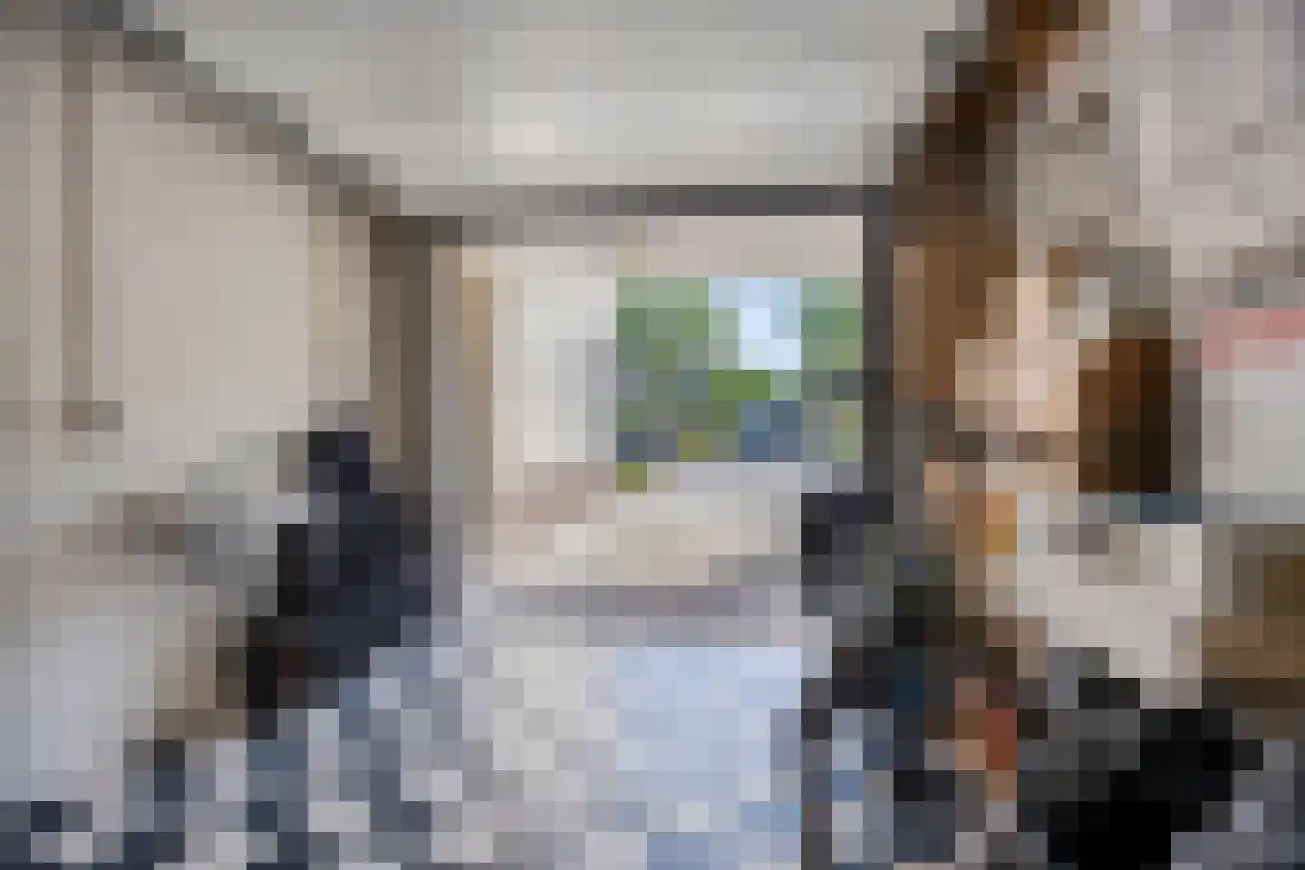 Laan ter Catten 14 Nuenen thumbnail 14