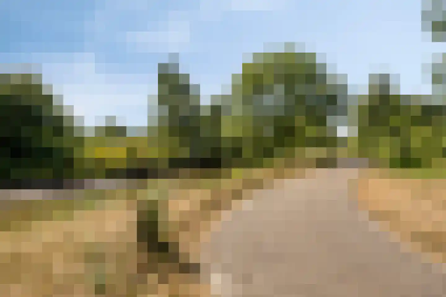 Laan ter Catten 14 Nuenen thumbnail 30