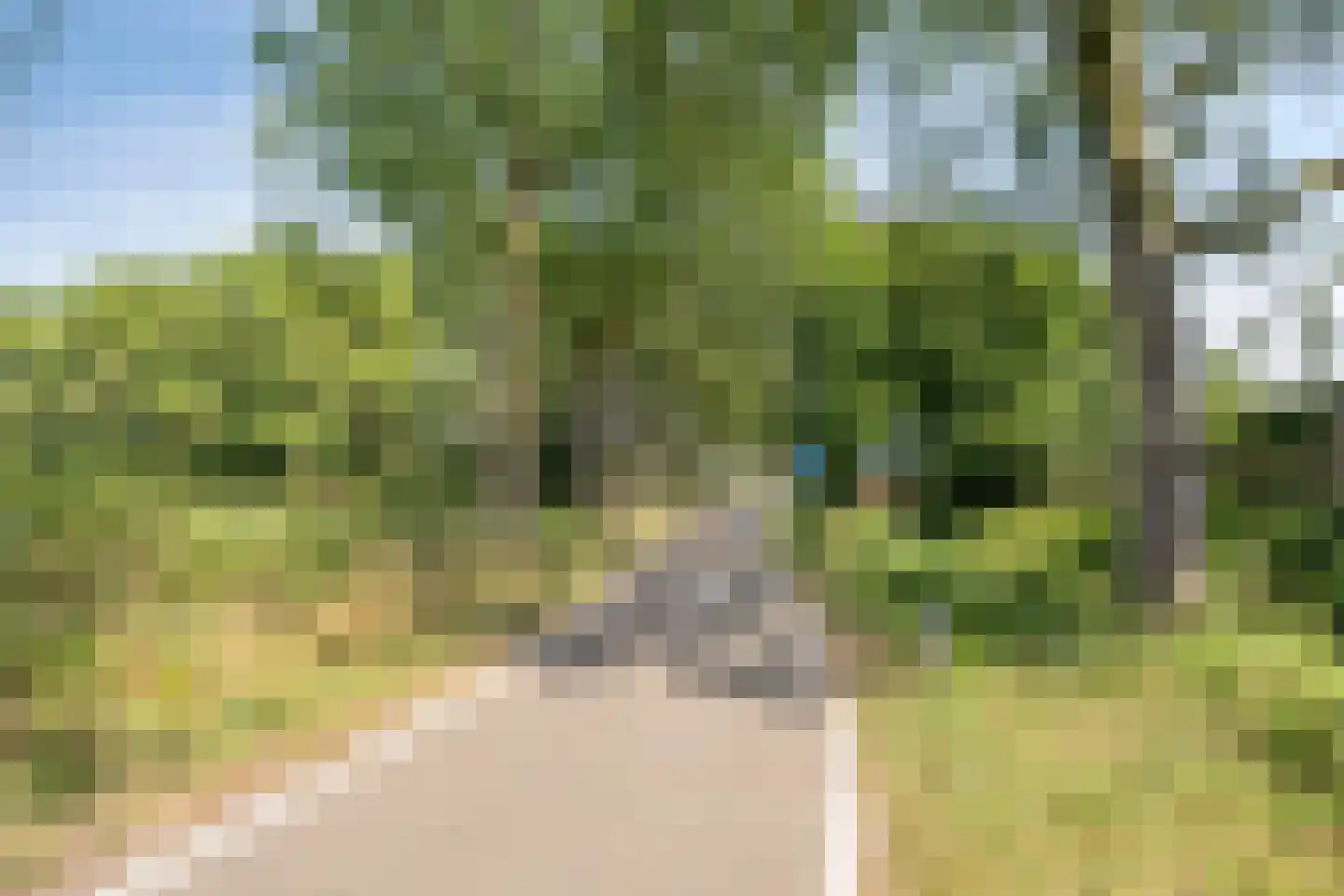 Laan ter Catten 14 Nuenen thumbnail 31