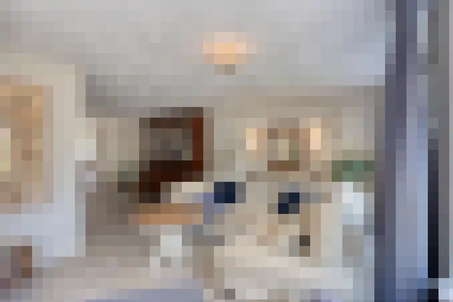 Laan ter Catten 14 Nuenen thumbnail 8
