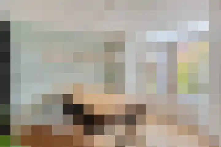 Laan ter Catten 50 Nuenen thumbnail 10