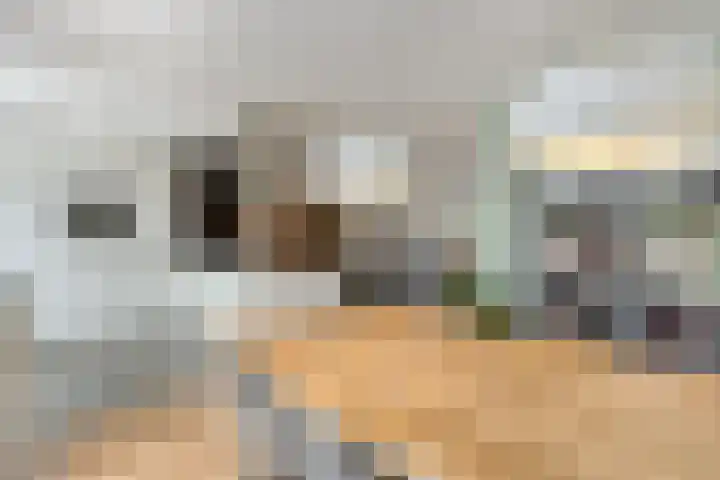 Laan ter Catten 50 Nuenen thumbnail 11
