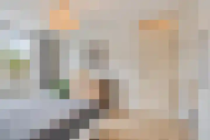 Laan ter Catten 50 Nuenen thumbnail 13