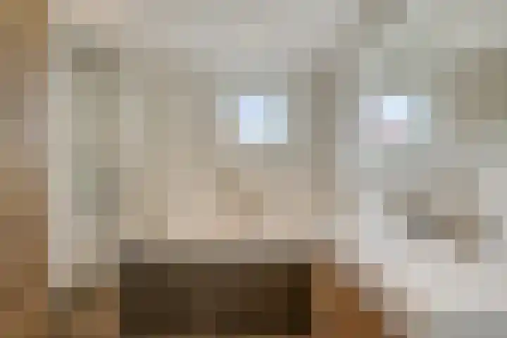 Laan ter Catten 50 Nuenen thumbnail 18