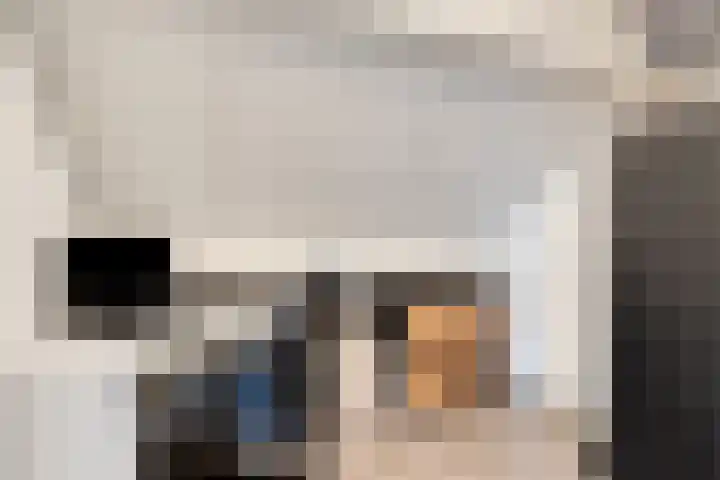 Laan ter Catten 50 Nuenen thumbnail 20