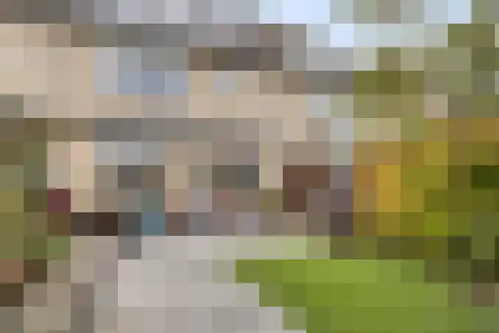 Laan ter Catten 50 Nuenen thumbnail 23