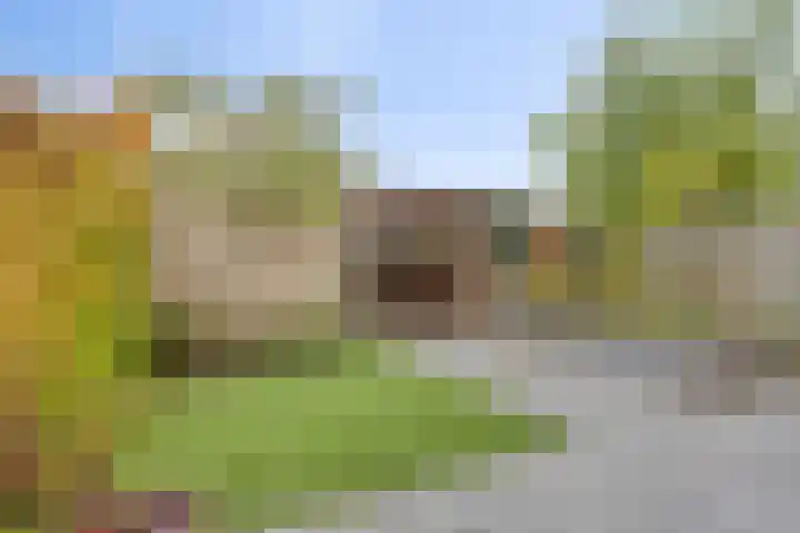 Laan ter Catten 50 Nuenen thumbnail 24