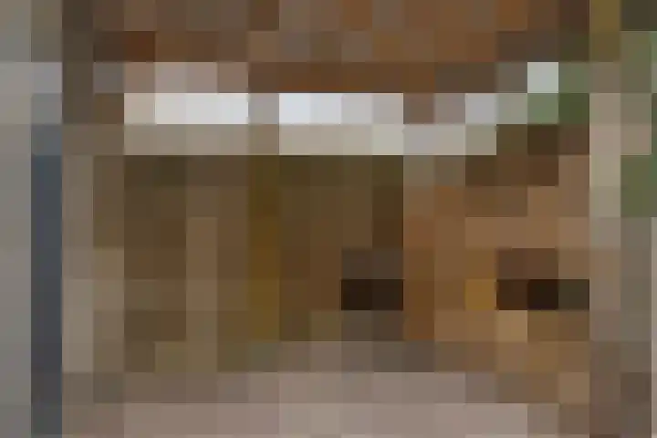 Laan ter Catten 50 Nuenen thumbnail 25