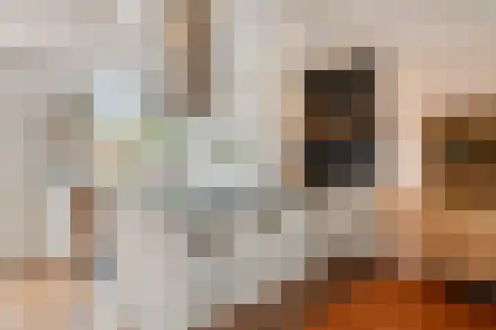 Laan ter Catten 50 Nuenen foto 3