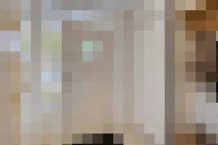 Laan ter Catten 50 Nuenen thumbnail 5