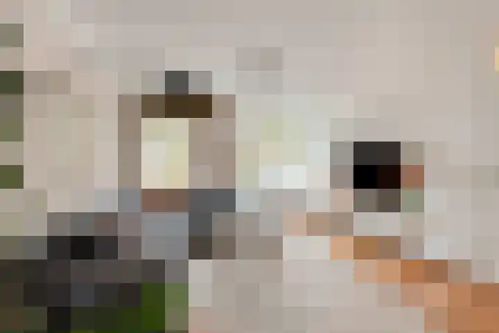 Laan ter Catten 50 Nuenen thumbnail 7