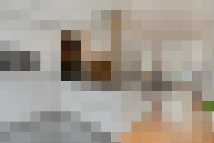 Laan ter Catten 50 Nuenen thumbnail 9