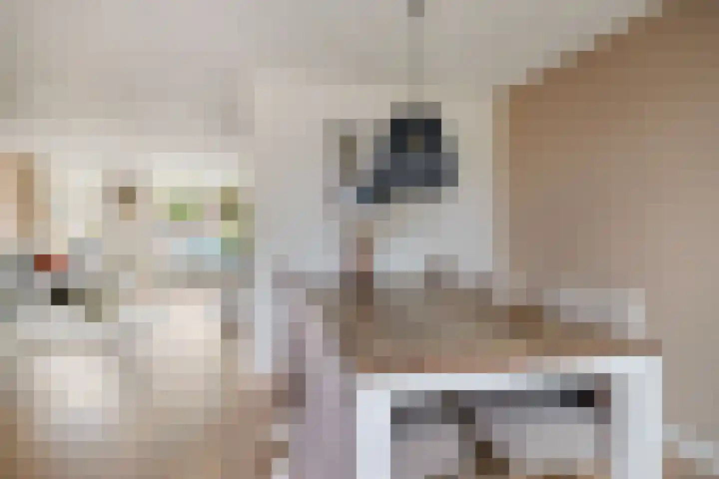 Laan ter Catten 52 Nuenen thumbnail 11