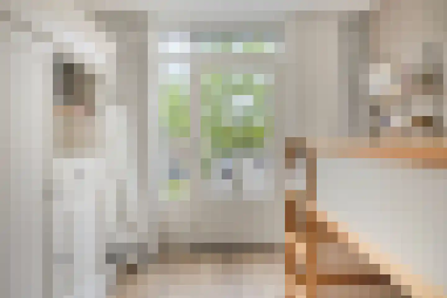 Laan ter Catten 52 Nuenen thumbnail 25