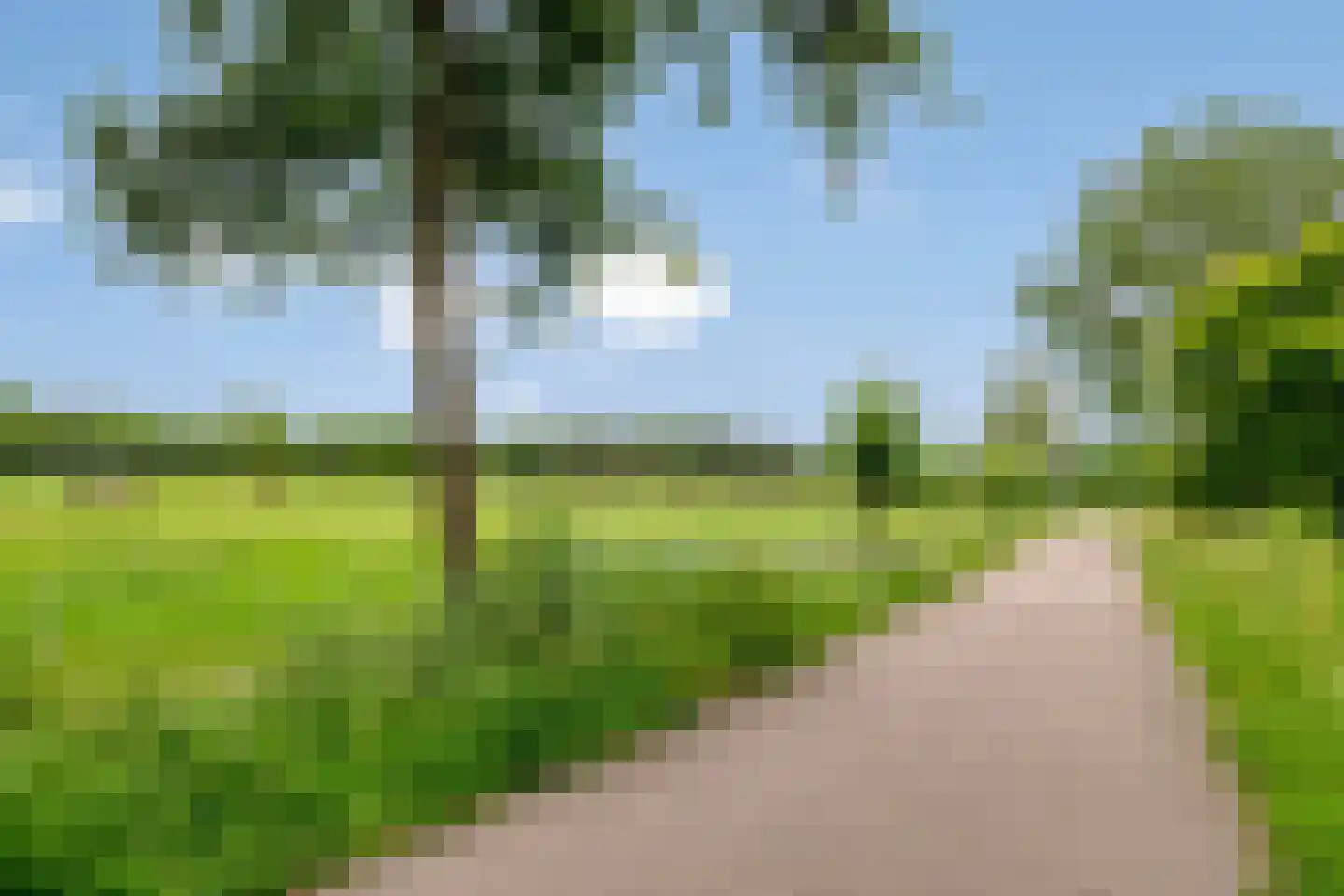 Laan ter Catten 52 Nuenen thumbnail 38