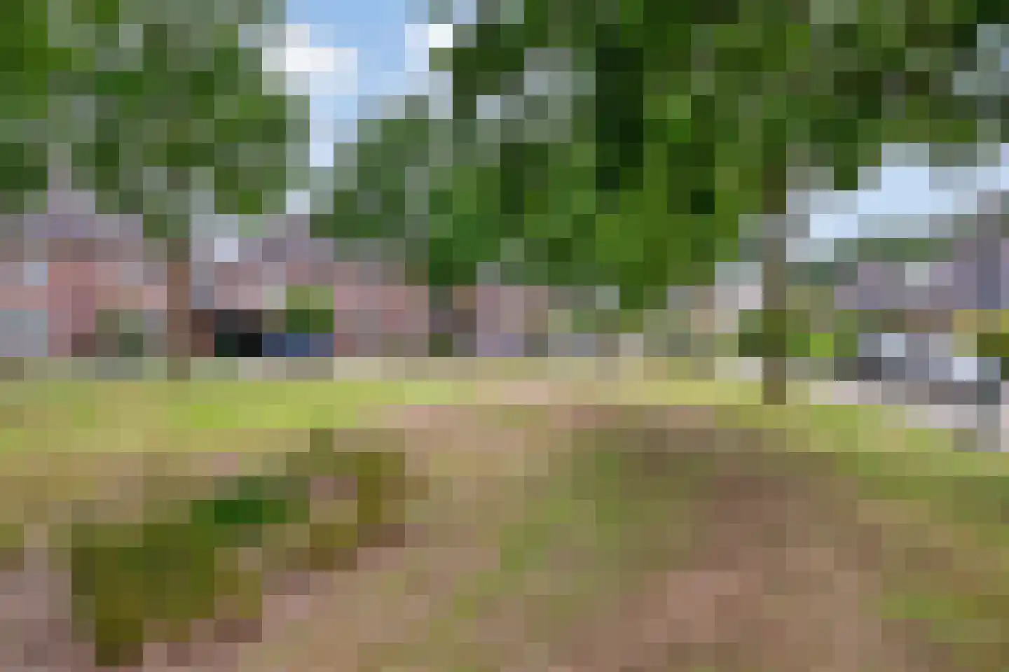 Laan ter Catten 52 Nuenen thumbnail 42