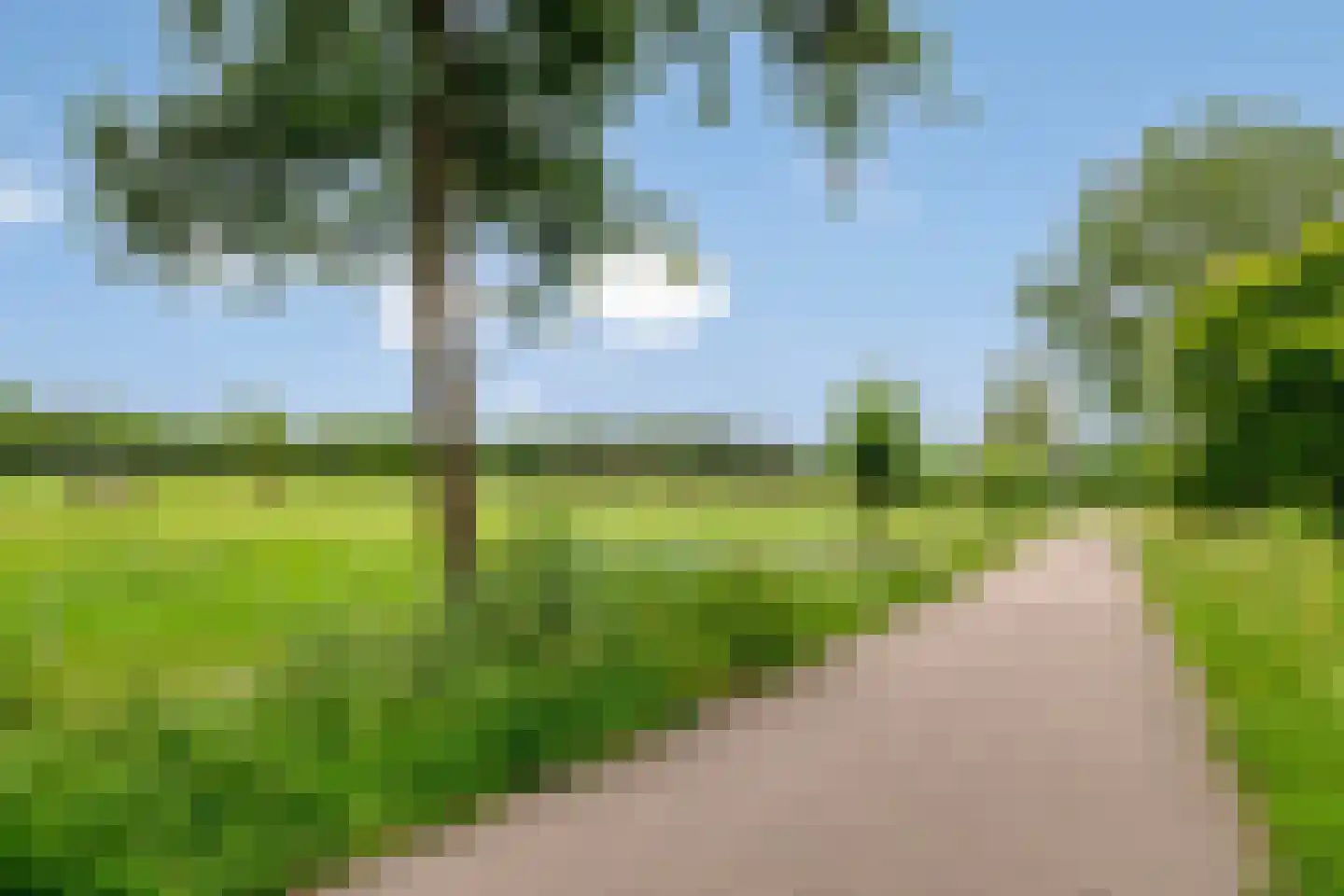 Laan ter Catten 52 Nuenen thumbnail 43