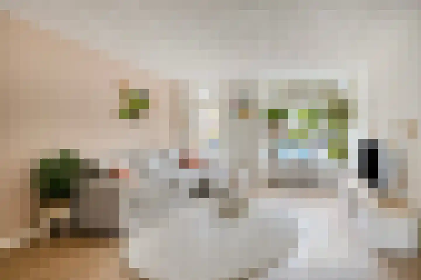 Laan ter Catten 52 Nuenen thumbnail 9