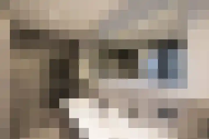 Laan van Aïda 2 Nieuw-Vennep thumbnail 30