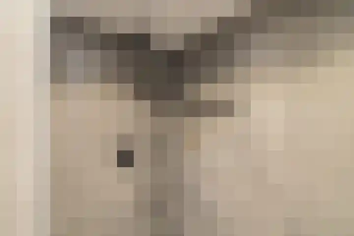 Laan van Aïda 2 Nieuw-Vennep thumbnail 31